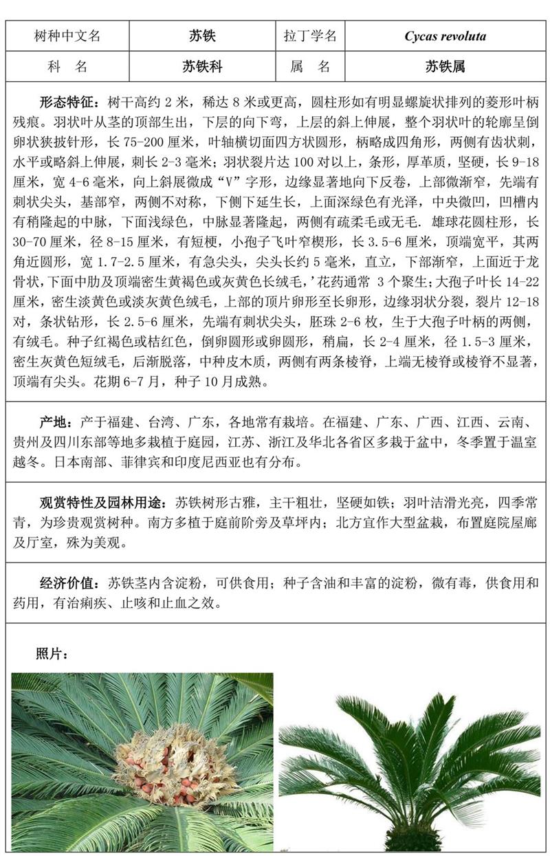 f92bf5d06ad94ba7aac7acfa8fba410a.jpg
